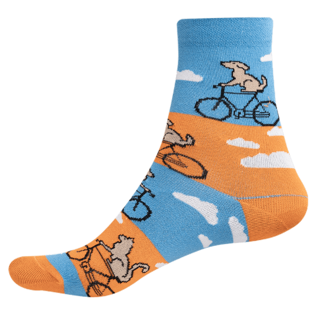 Socken - Fahrrad - Katzen - Hund